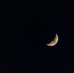 half-moon-4900302_1280